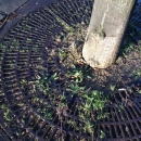 environment :